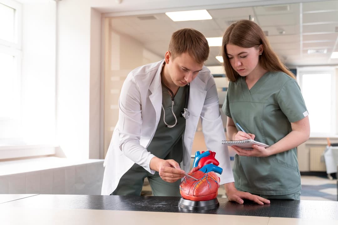 Cardiology (Heart Care)